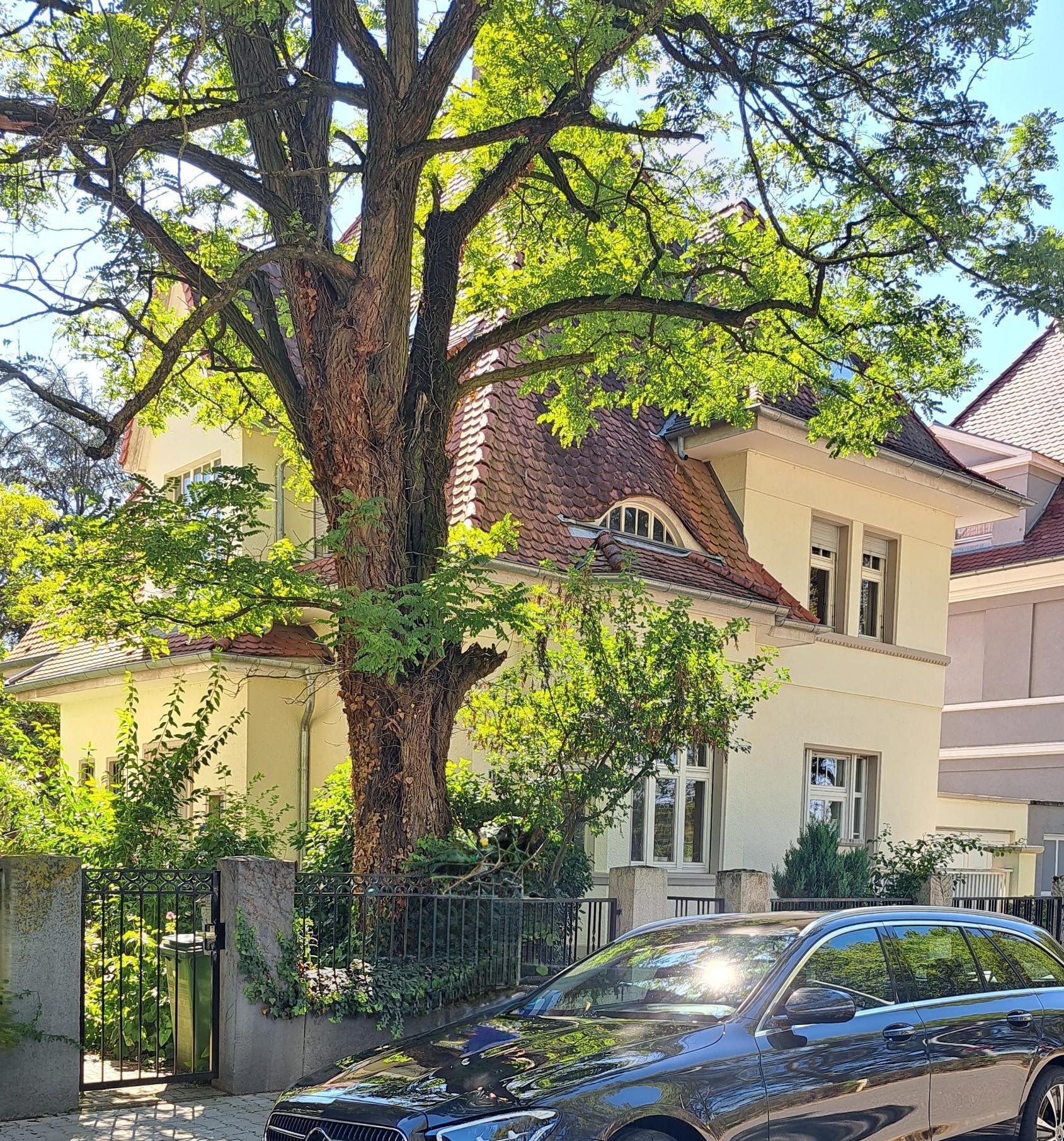 Haus, Paul-Martin-Ufer 13